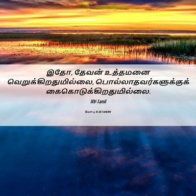 Picture 06 - யோபு 8:20 TAMIRV - இதோ, தேவன் உத்தமனை - Bible Verse Picture