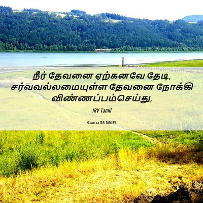 Picture 06 - யோபு 8:5 TAMIRV - நீர் தேவனை - Bible Verse Picture