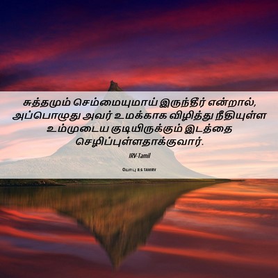 Picture 06 - யோபு 8:6 TAMIRV - சுத்தமும் - Bible Verse Picture