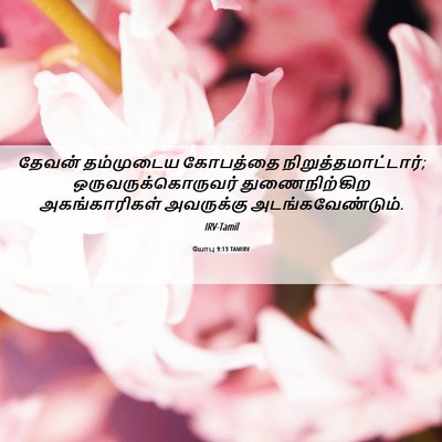 Picture 06 - யோபு 9:13 TAMIRV - தேவன் தம்முடைய - Bible Verse Picture