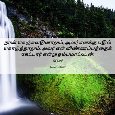 Picture 06 - யோபு 9:16 TAMIRV - நான் - Bible Verse Picture