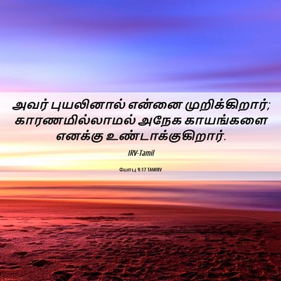 Picture 06 - யோபு 9:17 TAMIRV - அவர் புயலினால் - Bible Verse Picture