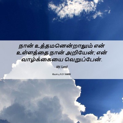 Picture 06 - யோபு 9:21 TAMIRV - நான் - Bible Verse Picture
