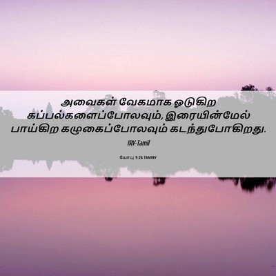 Picture 06 - யோபு 9:26 TAMIRV - அவைகள் வேகமாக - Bible Verse Picture