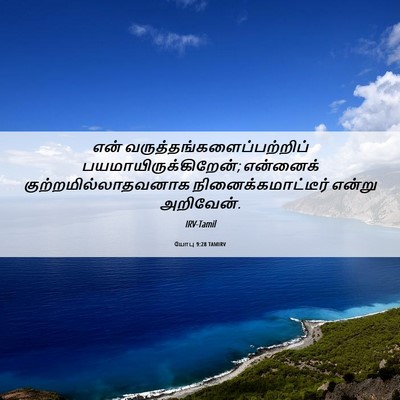 Picture 06 - யோபு 9:28 TAMIRV - என் - Bible Verse Picture