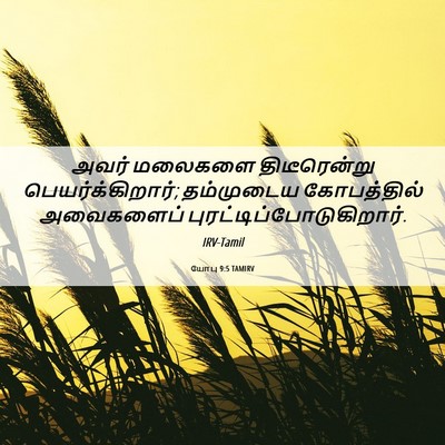 Picture 06 - யோபு 9:5 TAMIRV - அவர் மலைகளை - Bible Verse Picture