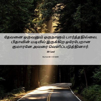 Picture 06 - யோவான் 1:18 TAMIRV - தேவனை ஒருவனும் - Bible Verse Picture