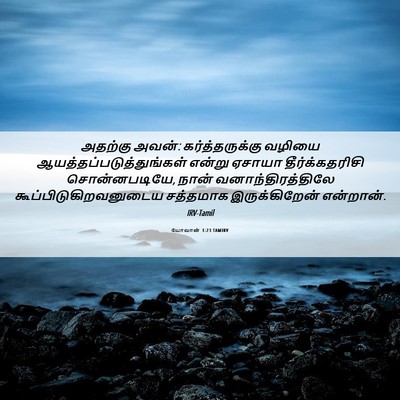 Picture 06 - யோவான் 1:23 TAMIRV - அதற்கு அவன்: - Bible Verse Picture