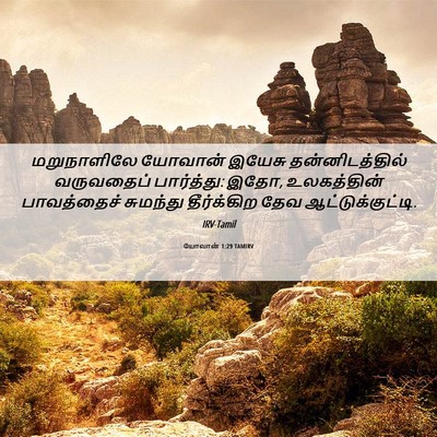 Picture 06 - யோவான் 1:29 TAMIRV - மறுநாளிலே யோவான் - Bible Verse Picture
