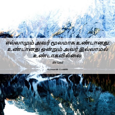 Picture 06 - யோவான் 1:3 TAMIRV - எல்லாமும் அவர் - Bible Verse Picture