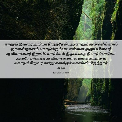 Picture 06 - யோவான் 1:33 TAMIRV - நானும் இவரை - Bible Verse Picture