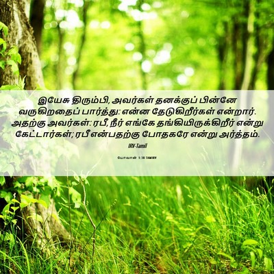 Picture 06 - யோவான் 1:38 TAMIRV - இயேசு திரும்பி, - Bible Verse Picture
