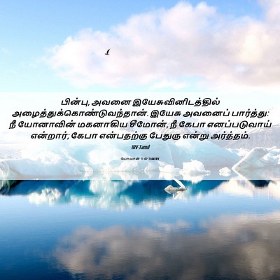 Picture 06 - யோவான் 1:42 TAMIRV - பின்பு, அவனை - Bible Verse Picture