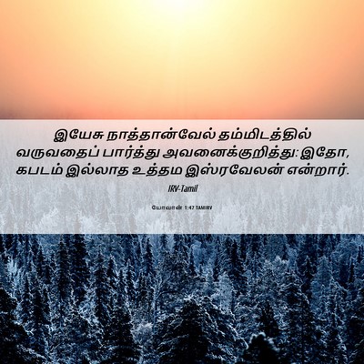 Picture 06 - யோவான் 1:47 TAMIRV - இயேசு - Bible Verse Picture