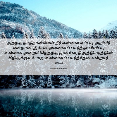 Picture 06 - யோவான் 1:48 TAMIRV - அதற்கு - Bible Verse Picture