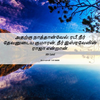 Picture 06 - யோவான் 1:49 TAMIRV - அதற்கு - Bible Verse Picture