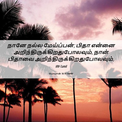 Picture 06 - யோவான் 10:14 TAMIRV - நானே நல்ல - Bible Verse Picture