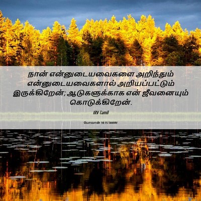 Picture 06 - யோவான் 10:15 TAMIRV - நான் - Bible Verse Picture