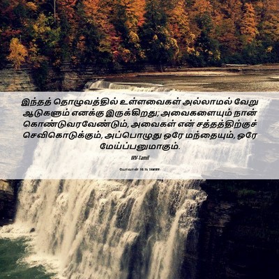 Picture 06 - யோவான் 10:16 TAMIRV - இந்தத் - Bible Verse Picture