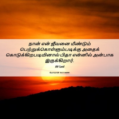 Picture 06 - யோவான் 10:17 TAMIRV - நான் என் ஜீவனை - Bible Verse Picture