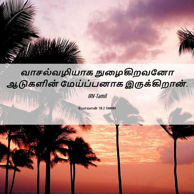 Picture 06 - யோவான் 10:2 TAMIRV - வாசல்வழியாக - Bible Verse Picture