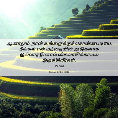 Picture 06 - யோவான் 10:26 TAMIRV - ஆனாலும், நான் - Bible Verse Picture