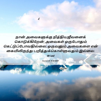 Picture 06 - யோவான் 10:28 TAMIRV - நான் அவைகளுக்கு - Bible Verse Picture