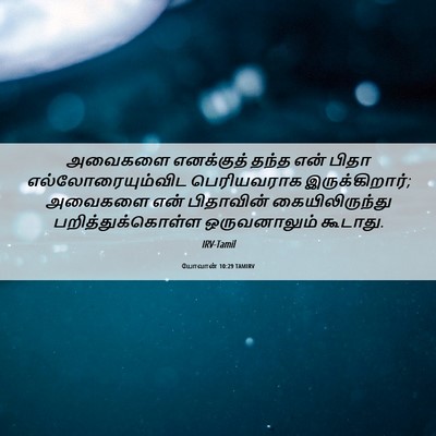 Picture 06 - யோவான் 10:29 TAMIRV - அவைகளை எனக்குத் - Bible Verse Picture