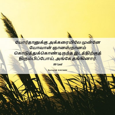 Picture 06 - யோவான் 10:40 TAMIRV - யோர்தானுக்கு - Bible Verse Picture