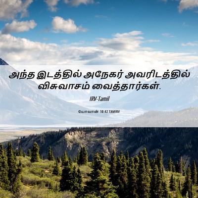 Picture 06 - யோவான் 10:42 TAMIRV - அந்த இடத்தில் - Bible Verse Picture