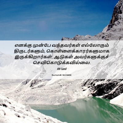 Picture 06 - யோவான் 10:8 TAMIRV - எனக்கு முன்பே - Bible Verse Picture
