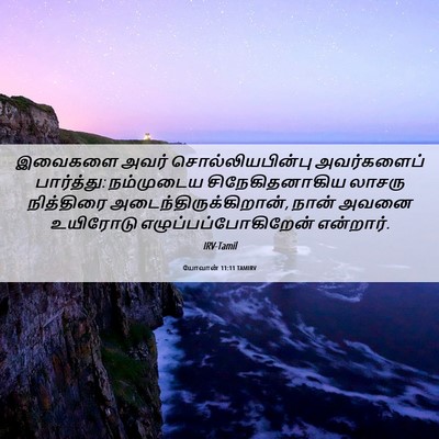 Picture 06 - யோவான் 11:11 TAMIRV - இவைகளை அவர் - Bible Verse Picture