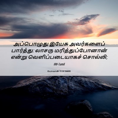 Picture 06 - யோவான் 11:14 TAMIRV - அப்பொழுது இயேசு - Bible Verse Picture