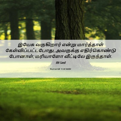 Picture 06 - யோவான் 11:20 TAMIRV - இயேசு வருகிறார் - Bible Verse Picture