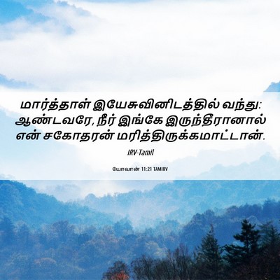 Picture 06 - யோவான் 11:21 TAMIRV - மார்த்தாள் - Bible Verse Picture