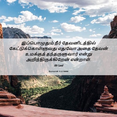 Picture 06 - யோவான் 11:22 TAMIRV - இப்பொழுதும் நீர் - Bible Verse Picture