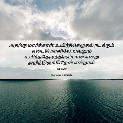 Picture 06 - யோவான் 11:24 TAMIRV - அதற்கு - Bible Verse Picture