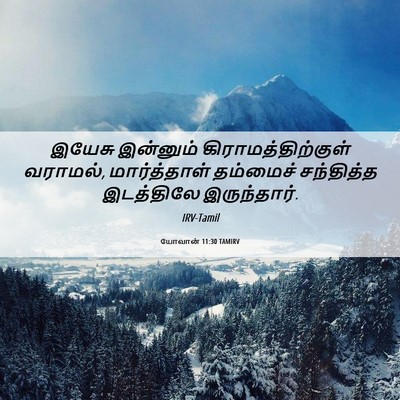 Picture 06 - யோவான் 11:30 TAMIRV - இயேசு இன்னும் - Bible Verse Picture