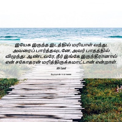 Picture 06 - யோவான் 11:32 TAMIRV - இயேசு இருந்த - Bible Verse Picture
