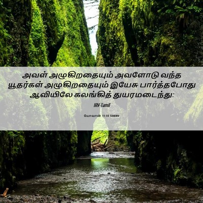 Picture 06 - யோவான் 11:33 TAMIRV - அவள் அழுகிறதையும் - Bible Verse Picture
