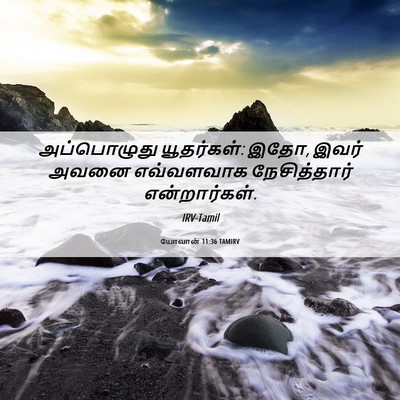Picture 06 - யோவான் 11:36 TAMIRV - அப்பொழுது - Bible Verse Picture