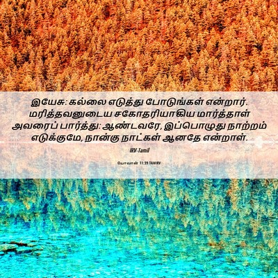 Picture 06 - யோவான் 11:39 TAMIRV - இயேசு: கல்லை - Bible Verse Picture