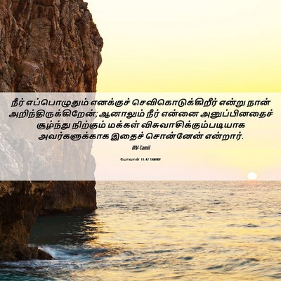 Picture 06 - யோவான் 11:42 TAMIRV - நீர் எப்பொழுதும் - Bible Verse Picture