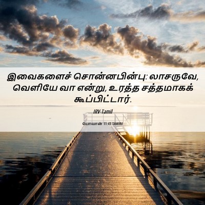 Picture 06 - யோவான் 11:43 TAMIRV - இவைகளைச் - Bible Verse Picture