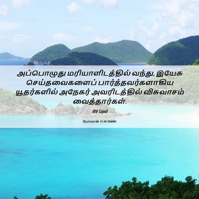 Picture 06 - யோவான் 11:45 TAMIRV - அப்பொழுது - Bible Verse Picture