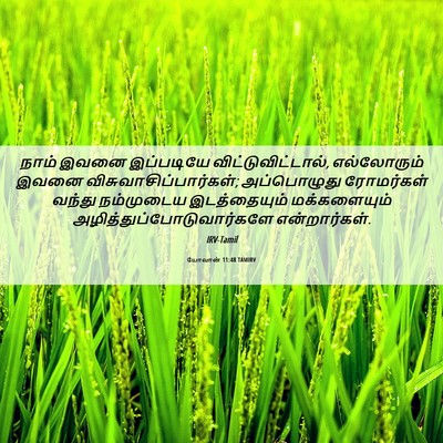 Picture 06 - யோவான் 11:48 TAMIRV - நாம் இவனை - Bible Verse Picture
