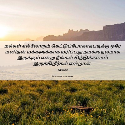 Picture 06 - யோவான் 11:50 TAMIRV - மக்கள் எல்லோரும் - Bible Verse Picture