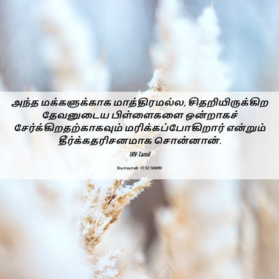 Picture 06 - யோவான் 11:52 TAMIRV - அந்த மக்களுக்காக - Bible Verse Picture
