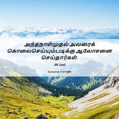 Picture 06 - யோவான் 11:53 TAMIRV - அந்தநாள்முதல் - Bible Verse Picture