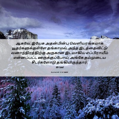 Picture 06 - யோவான் 11:54 TAMIRV - ஆகவே, இயேசு - Bible Verse Picture